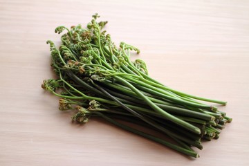 採れたて天然ワラビ