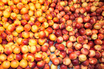 Nectarine white and yellow fruit isolated on background