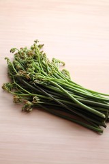 採れたて天然ワラビ