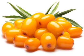 Pile of sea buckthorn berries with leaves, clipping paths