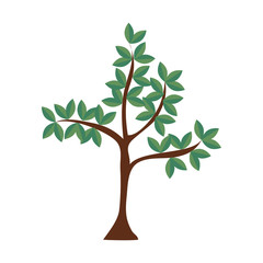 tree plant leaves nature green icon vector graphic