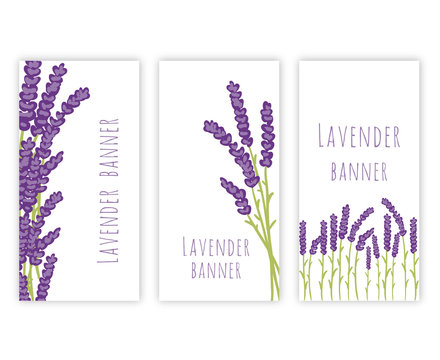 Set of three lavender banners