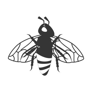 bee insect honey icon vector graphic