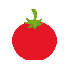 tomato food vegetable icon vector graphic