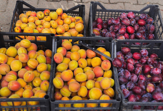 peaches and plums for sale