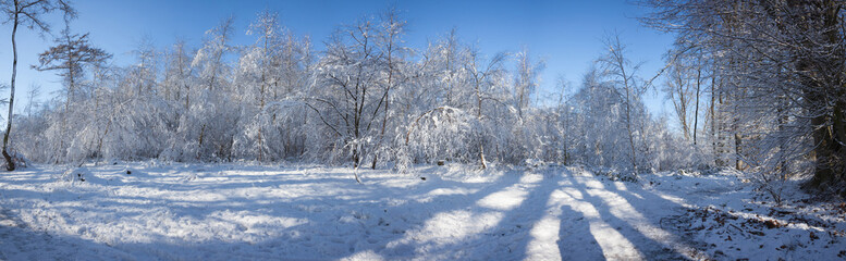 panorama snow landscape