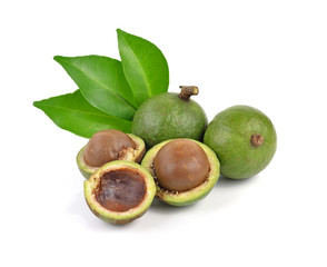 macadamia nuts on white background