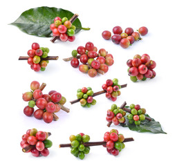 fresh coffea on white background