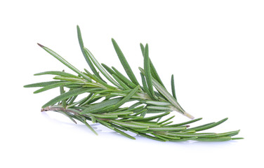 Fototapeta premium Rosemary isolated on white background