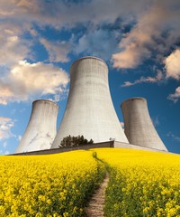 Nuclear power plant with rapeseed field