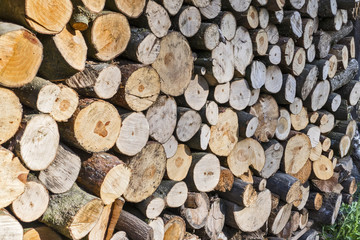 Brennholz, Kaminholz