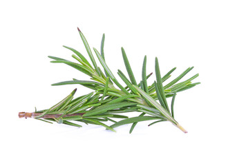 Rosemary isolated on white background