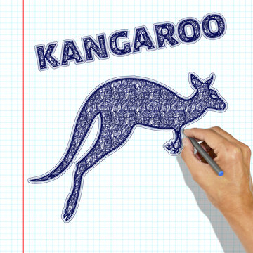 Kangaroo painted handle. The hand draws a kangaroo in a school notebook