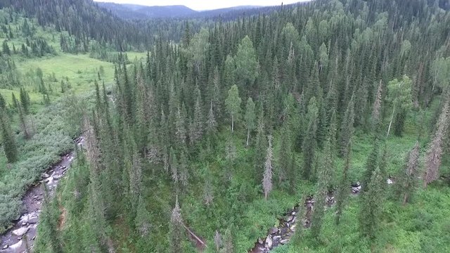 flying over the forest, creek (quadrocopter)