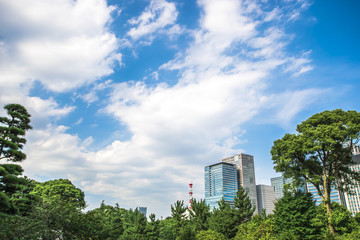 Obraz premium 公園から望む高層ビルと空