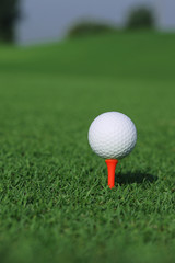 golf ball on a tee