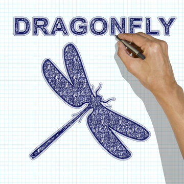 Dragonfly drawn with a pen. Hand drawing dragonfly in a school notebook