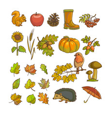 Autumn or fall icon and objects set for design.