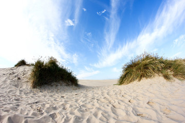 A sand dune in Denmark...the largest in the country.