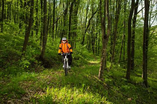 Biker in orange jersey on the forest road