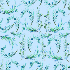 Fototapeta premium Watercolor vintage pattern from plants, twigs and berries, juniper, pine needles, blue-green color. Seamless use of different design