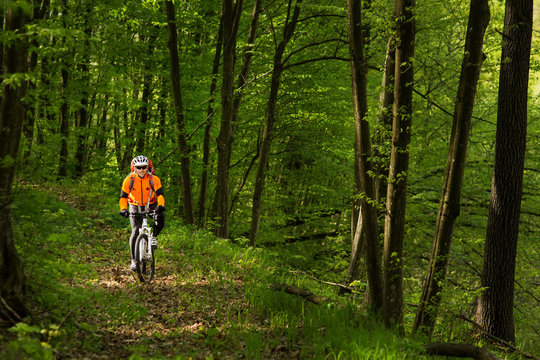 Biker in orange jersey on the forest road
