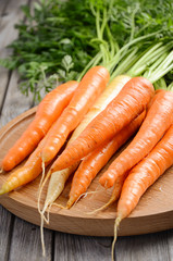 Bunch of fresh carrot on wooden background, selective focus