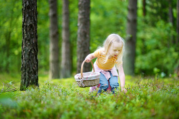 Adorable little girl picking foxberries in the forest © MNStudio