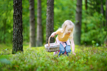 Adorable little girl picking foxberries in the forest
