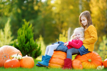 Two pretty little sisters having fun together on a pumpkin patch