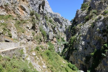 bridge through a mountain gorge
