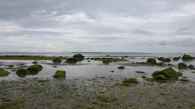 Muddy rocky shore of Boundary Bay in Surrey, British Colombia, Canada on cloudy day at low tide