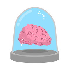 Brain in glass bell. Laboratory research. Study of mind.