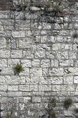 stone wall