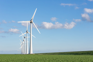 Windfarm in Dutch landscape with field of sugar beets