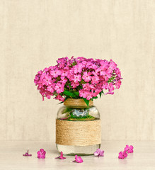 flower bouquet of Phlox in vase homemade closeup on gray background closeup. tinted photo