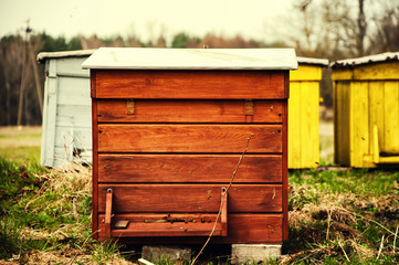 The image of colorful beehives