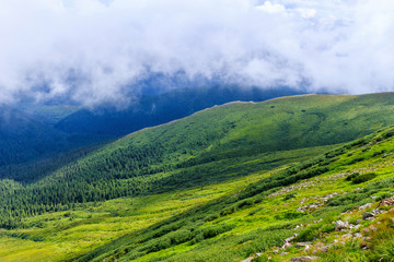 Obraz premium View from the top of Carpathian mountains, above the clouds. Chornogora ridge.