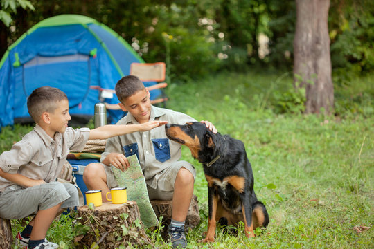 two young boys with dogs on camping tirp with dogs