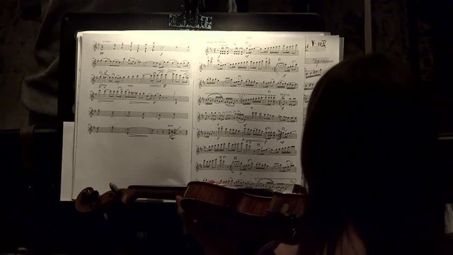 Playing  string instruments (violin) in a symphony orchestra.