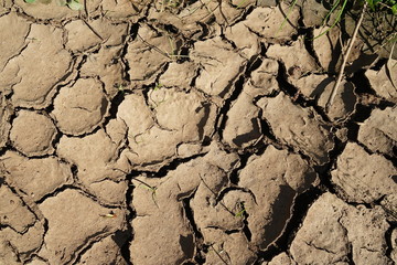 drought