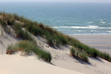 paysage de dunes