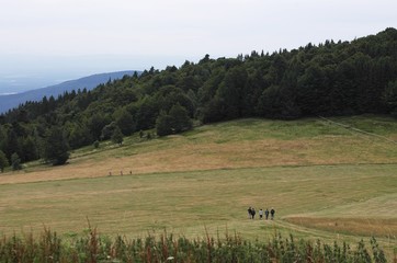 Randonnée dans les Vosges