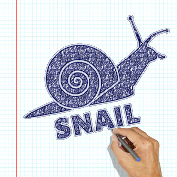 The snail drawn with a pen. The hand draws a snail in a school notebook