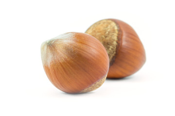 Isolated hazelnuts on white background, food