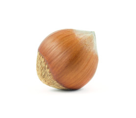 Hazelnut isolated on white with clipping path