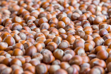 Healthy eating vegetarian nut food brown hazelnut