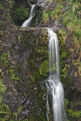 Kitekite Falls, Waitakere Ranges Regional Park, New Zealand