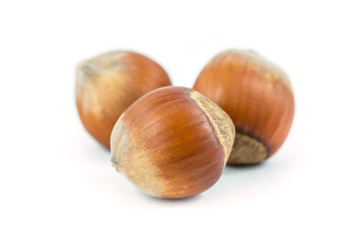 Isolated hazelnuts on white background, food