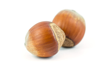 Isolated hazelnuts on white background, food
